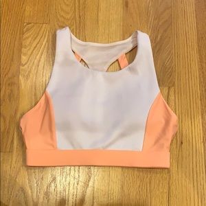 Fabletics sports bra